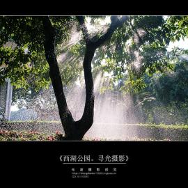 西湖公园。寻光摄影