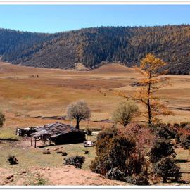 这美丽的香格里拉