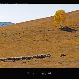 坝上秋摄--滦河源