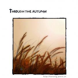 Through the autumn 路过秋天