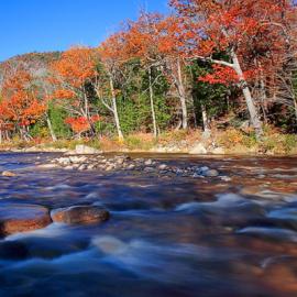 一条河流的忆记
