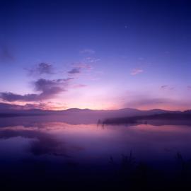 留得枯叶听风啸