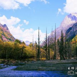 长坪沟的枯树滩