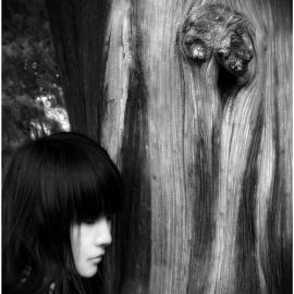 徐宏伟摄影欣赏