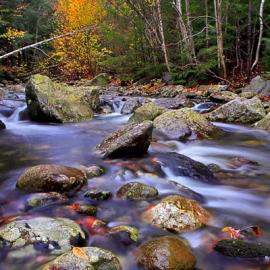 清流绕秋梦-swa 摄影