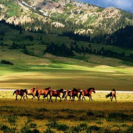 万般风情赛里木―2