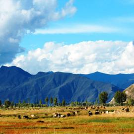 走进西藏-浮光掠影