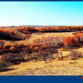 走进塞罕坝（五）