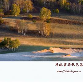 层林尽染秋色浓