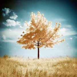 Michael G. Magin 摄影欣赏