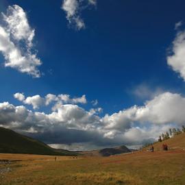 金秋新疆行（一）