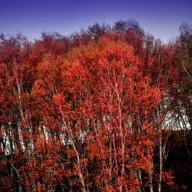坝上行之蛤蟆坝
