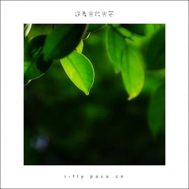 《拾遗2007：行走于夏秋之间》