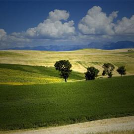 天山雨摄影-《走进田间》