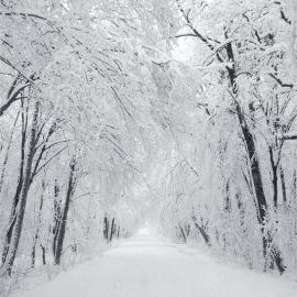 Tobias Zeising 摄影欣赏