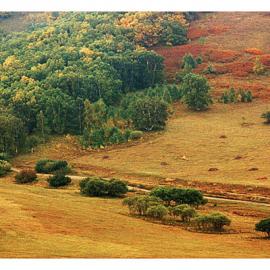 坝上归来之风光一