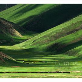 石渠扎溪卡草原风光