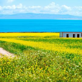 青海湖 色彩之旅