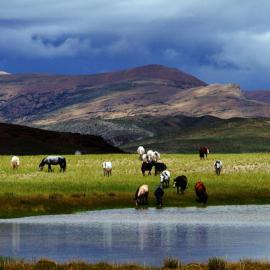 雅鲁藏布江之源