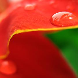 咫尺之间[CLOSE TO THEM]