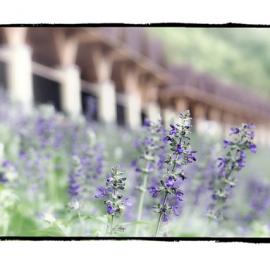 七月二十一盘龙峡