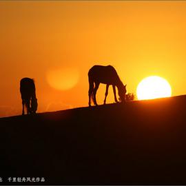 美丽的新疆江布拉克