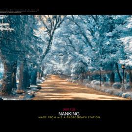 冷夏--《红外摄影》