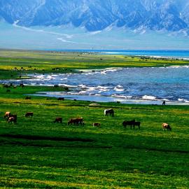 《新疆》赛里木湖