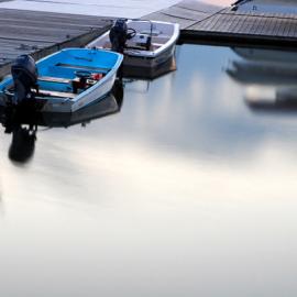 在淡淡的夕阳下等待