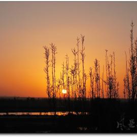 最美不过夕阳红