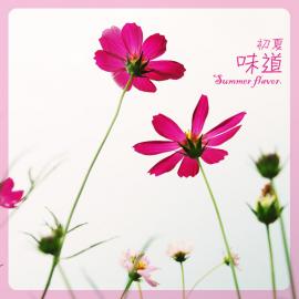 初夏味道