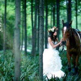 The Horse Whisperer 摄影作品欣赏