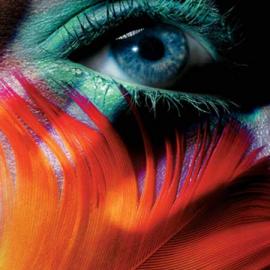 纽约时尚摄影舞动的色彩