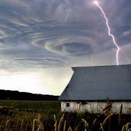 国外著名摄影杂志 06年度最佳图片