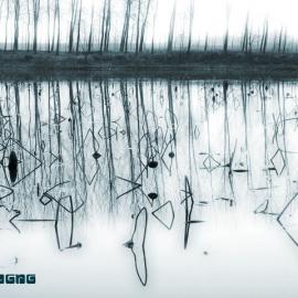 摄影欣赏---冬日荷塘