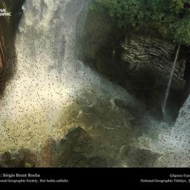 2006国家地理最佳摄影欣赏