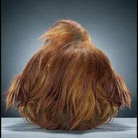 加拿大摄影师Jill Greenberg动物摄影Monkey Portraits