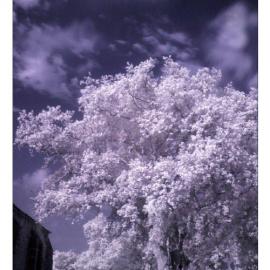 西班牙摄影师César风光摄影欣赏