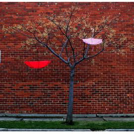 澳大利亚摄影师Karen创意摄影作品欣赏