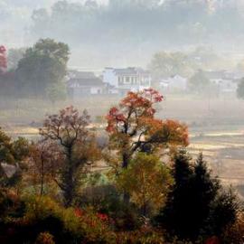 组图：“中国画里乡村”塔川秋色美