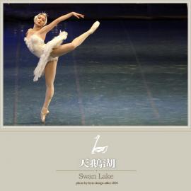 天鹅湖芭蕾时尚摄影欣赏　[组图]