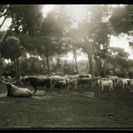 《BOOKLET》德国时尚杂志摄影系列（三）