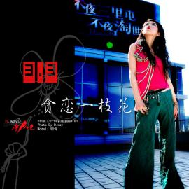 贪恋一枝花时尚摄影