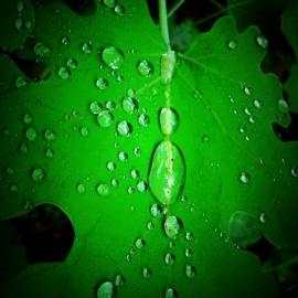 [联盟原创] 山野拾景