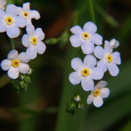 [联盟原创]秦岭蛤蟆沟的风景随拍