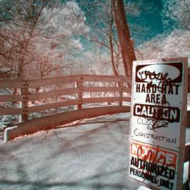 红外线摄影――猫眼里的世界(组图)