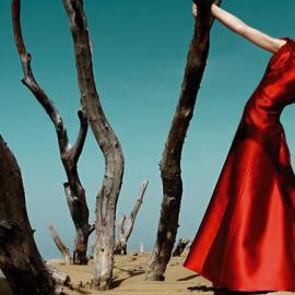 KORAY 大幅摄影欣赏―红色视觉