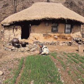 组图：乡土风情