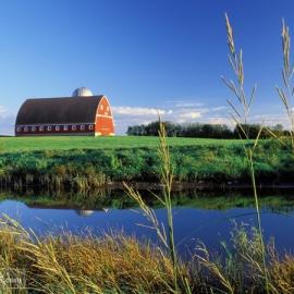 养眼美景欣赏，感受绿色的诗意