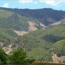 组图：山野杂拍享受醇真的大自然